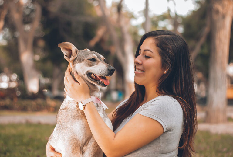 The Animal Rescue Site Blog