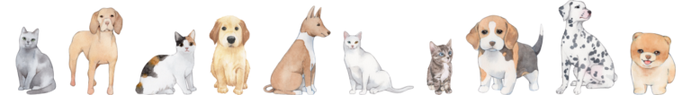 Contact Everkeep&Guardtail